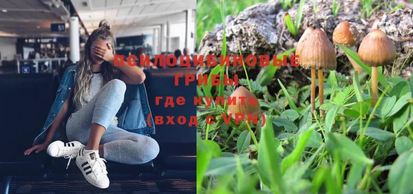соль курить ск Арсеньев