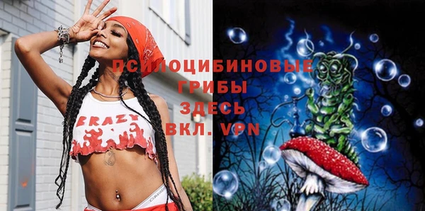 стафф Армянск
